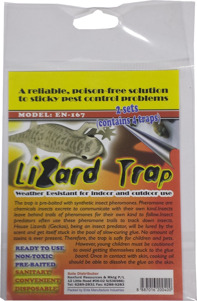 LIZARD TRAP (NON TOXIC), Insect & Pest Control Products