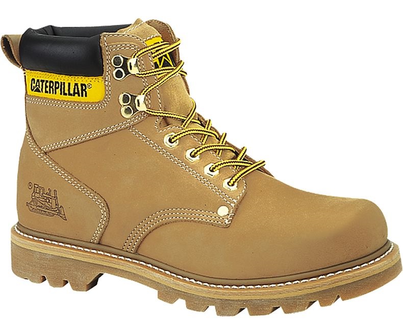 cat safety shoes price in abu dhabi