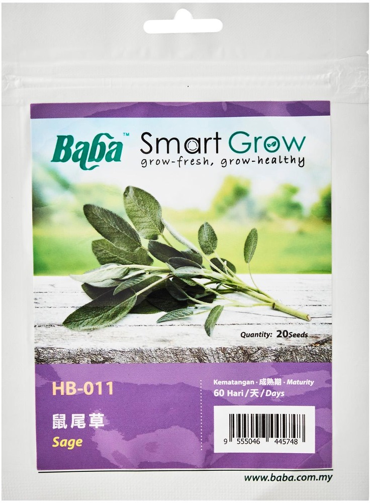 BABA SAGE SEED (30 SEEDS) 8363 Plants Seeds, Soil & Fertilizers