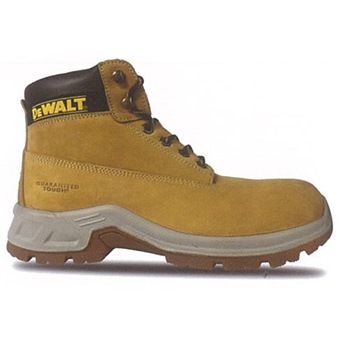 dewalt apprentice honey