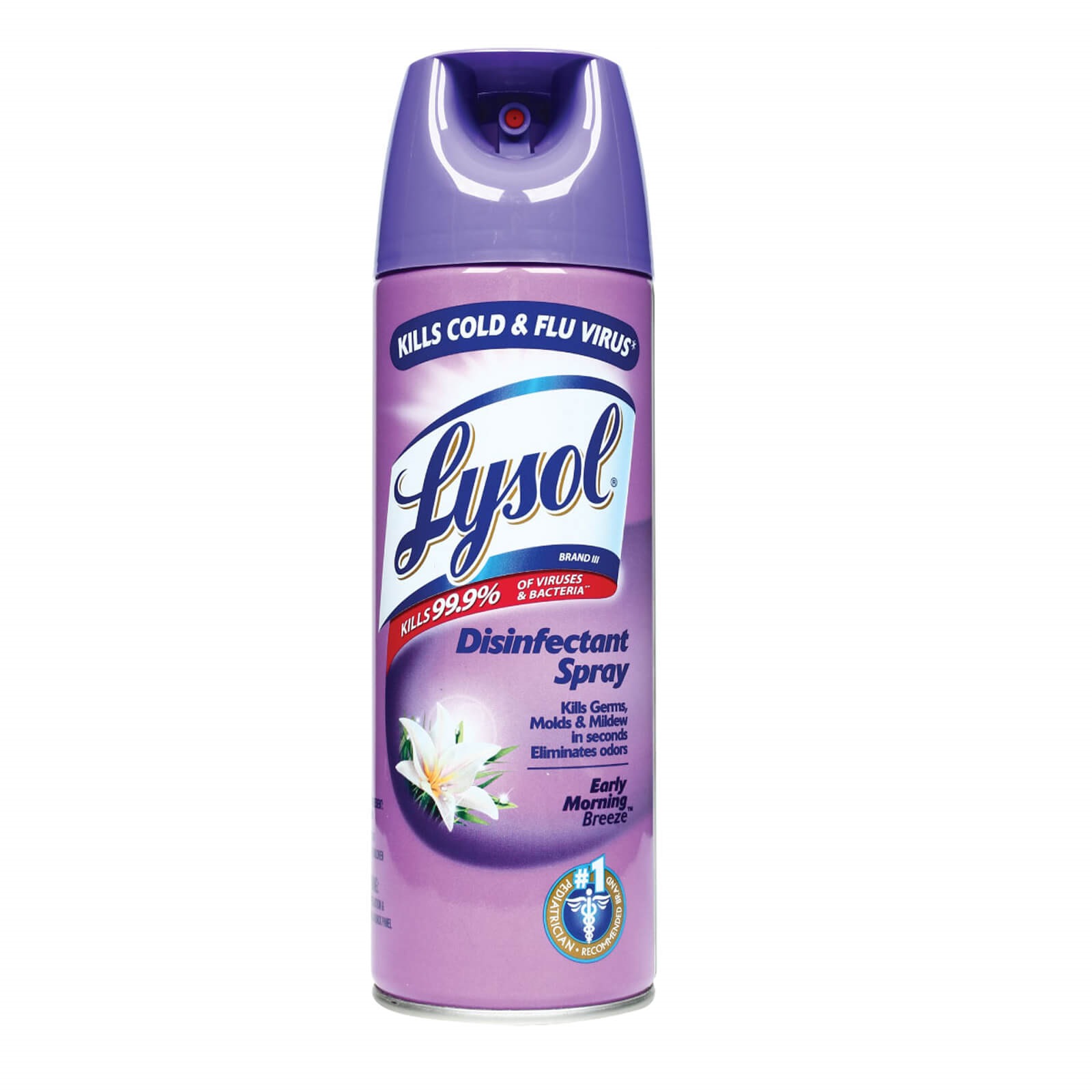 LYSOL DISINFECTANT SPRAY 340G EARLY MORNING Air Fresheners