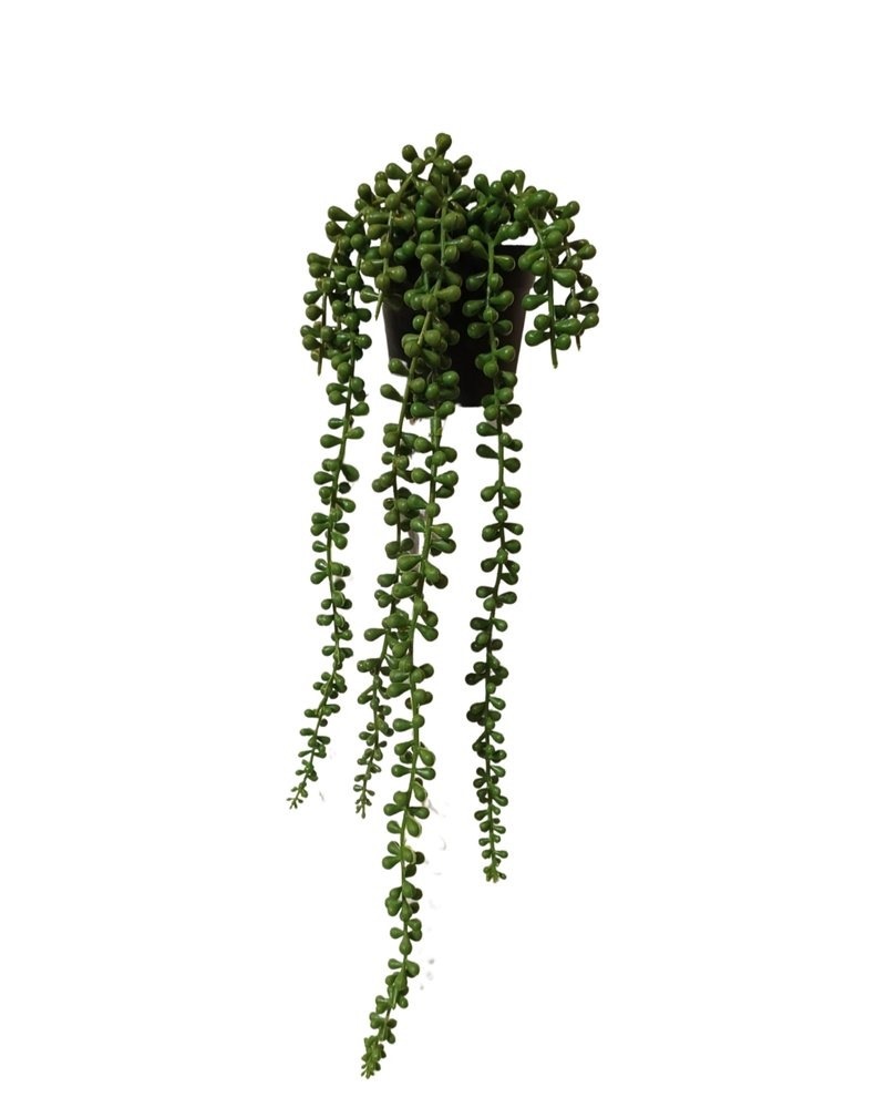 HANGING STRING-OF-PEARLS PLANT [FAKE] | Artificial Plants & Flowers ...