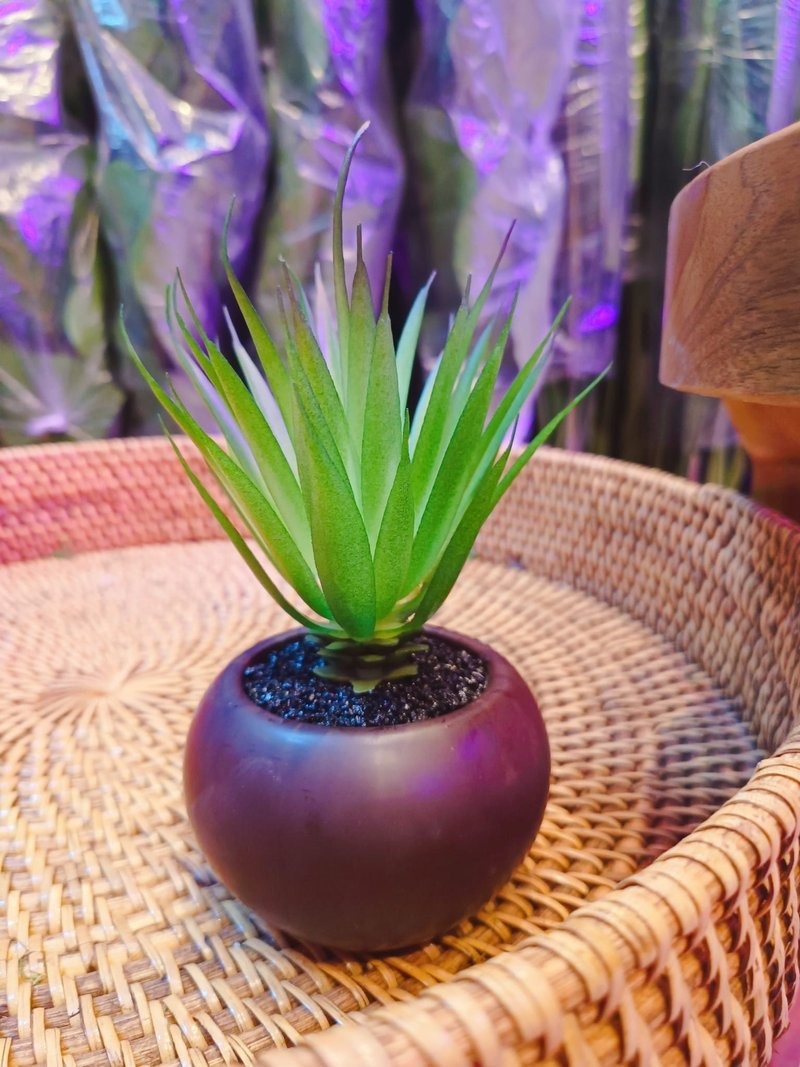 SISAL PLANT (BROWN POT) TABLE SIZE [FAKE] Artificial Plants