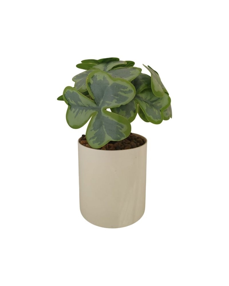 CLOVE PLANT WITH WHITE POT TABLE SIZE [FAKE] Artificial Plants