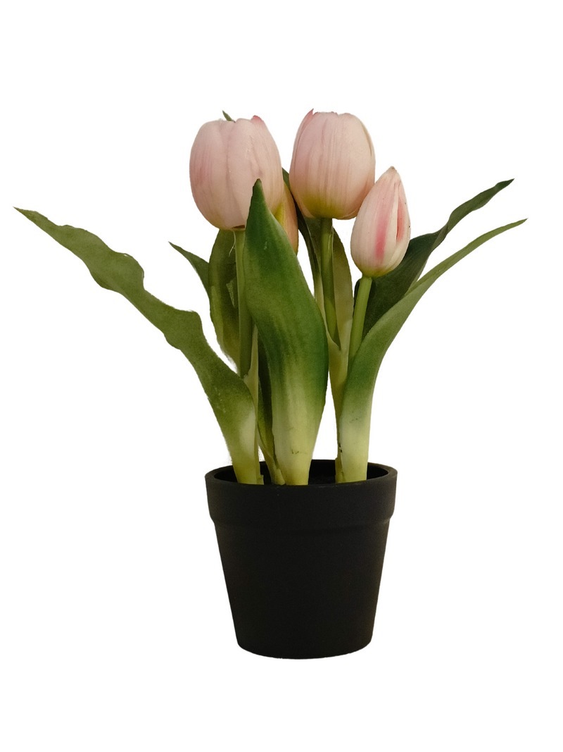 PINK TULIP PLANT WITH BLACK POT - TABLE SIZE [FAKE] | Artificial Plants ...